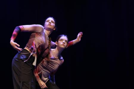 PLESNO POPOTOVANJE 14 FOTO LJUBO VUKELIČ